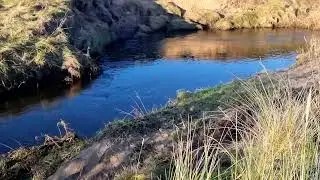 #aberffraw #walking #walkwithme #river #attheendoftheday 