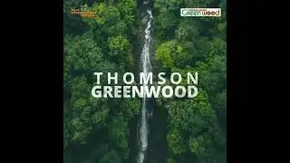 Thomson Greenwood: Your Eco-Friendly Choice! | Thomsonmultiwood