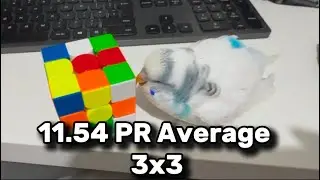 11.54 3x3 PR Average | Edinburgh Winter 2025