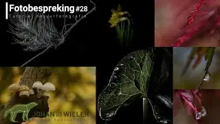 Fotobespreking #28 - donkere details