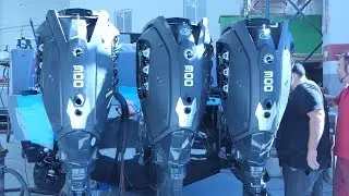 GRA&Uuml;NNER KRAUKKEN: 900CV