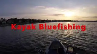 Kayak Bluefishing The Manasquan River