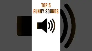 Top 5 Funny Sound | No copyright sound effect #copyrightfree #sound