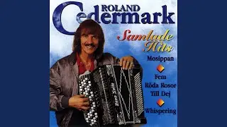 Novelty Accordion