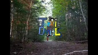 Jackie Daniel's (lyric video)