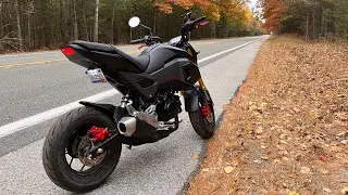 Grom: Michigan Fall Colors