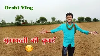 Mungfali ki Buvai || मूँगफली की बुवाई || First time tractor drive || Ashish Kahta vlogs||Deshi vlogs