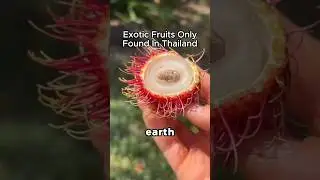 Экзотические фрукты, которые можно найти только в Таиланде
