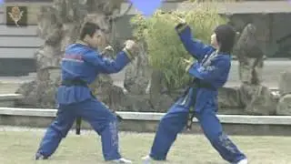 WOMAN'S HOT STYLE CLUB  SIFU YANG YANG  SNAKE STYLE  Snake Hands Coiling