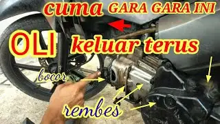 Penyebab oli Revo absolute selalu bocor rembes || berlaku untuk semua motor