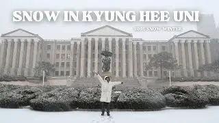 2026 winter snow in Kyunghee University (Seoul)