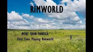 rimworld more than vanilla: first time playing  1