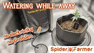 Gravity-Fed Self-Watering System by Spider Farmer