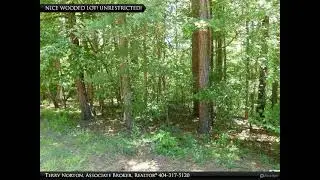 RARE FIND! UNRESTRICTED LAKE LOT WITH YEAR ROUND WATER!!!