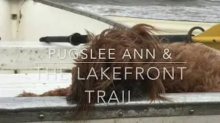 Pugslee Ann & the Lakefront Trail