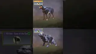 $100 Vs $0 K9 UNIT in CODM💀