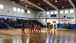 🔥 MEMPHIS PRANCING TIGERETTES - 🐅 FULL FIELDSHOW 🔥
