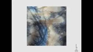 Wolf M&uuml;ller & Cass. - The Sound Of Glades