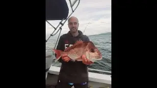 Jigging for Kingfish and PB Snapper. Shellharbour NSW Australia