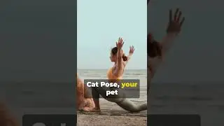 Pet Yoga: Stretching and Relaxation for Your Four-Legged Friend #shorts #pet