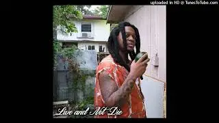 Kiddo Marv - Live and Not Die