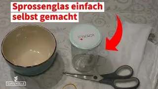 DIY Sprossenglas selber machen - So gehts einfach und g&uuml;nstig in wenigen Minuten!