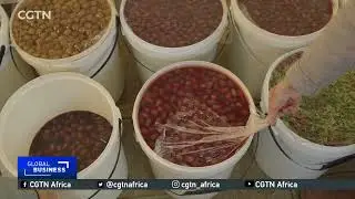 Bountiful harvests for South Africa’s olive farmers
