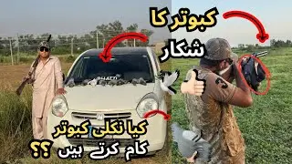 Best Pigeon Hunting Vlog in Pakistan 🇵🇰 | 12 Bore Gun Power 🎯 | Shikari Style