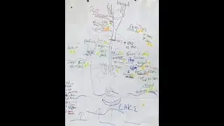 GEOGRAPHY PAPER 3, ACTUAL FIELD WORK, DRAWING A SKETCH MAP OF ANY FIELD WORK STUDY