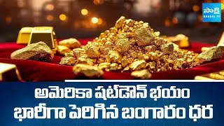 Gold Prices Massively Increase Due To US Government Shutdown Fears | SakshiTV