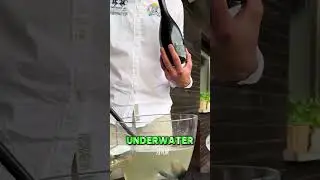 Invert open the wine