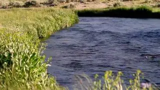 Hot Creek Fly Fishing Ranch - Leland Fly Fishing Outfitters