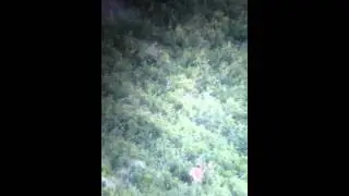 Big Velvet Buck 2014 Scouting