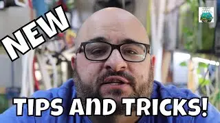 New Aquarium Tips and Tricks for your Fishroom!