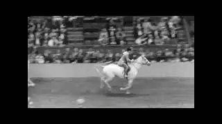The horse that made history#snowman#jumping#worldrecord#equestrian 