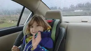 Drive through zoo. Fall 2021.