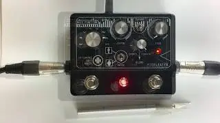 Intensive Care Audio - FIDELEATER - Lo-fi Chorus/Vibrato/Delay - Pitch bending guitar effect pedal