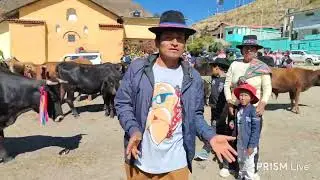 HERRANZA 2025 Distrito de HUANGASCAR 👍YAUYOS. 