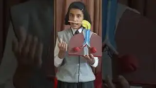 #Respiratory System #Avni Sharma VIID