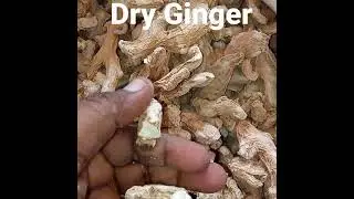 Dry Ginger