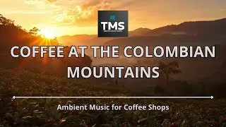 TMS - COFFEE AT THE COLOMBIAN MOUNTAINS #jazzinstrumental #coffeelovers