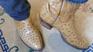 LUCCHESE CLASSICS Full Ostrich Vamps in 4k UHD