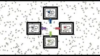 El extraño experimento para comprobar tu intuición visual _ #ExperiMental