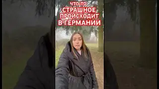 ГЕРМАНИЯ ОПАСНЫЙ ТУМАН ОТ НАС ЧТО-ТО СКРЫВАЮТ ?!#германия #беженцы #туман #природа #опасный #немцы