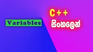 c++ tutorial in sinhala | variable | coding for beginners | programming lesson 8