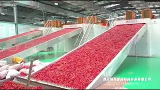 Large automatic red chilli drying equipment of Shouchuang Technology