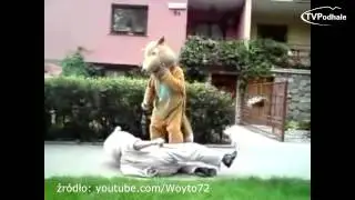 Pijany problem Zakopanego