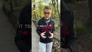 How Walking Impacts Your Brain & Stress Level