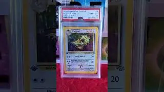 PSA Reveal 1999 Pokemon 1st Edition Jungle Set Holo Foil Pidgeot 8/64 Colorless Wizards Of The Coast