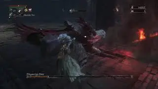 Bloodborne Radial Cursed Cold Abyssal Blood Gem Farming